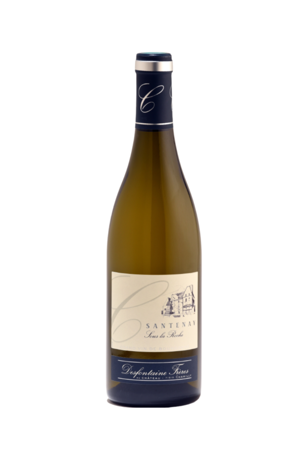 Santenay Blanc Sous La Roche Château de Chamilly 2019 white wine