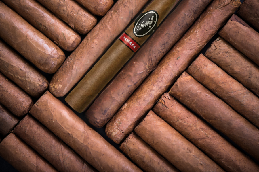 DAVIDOFF YAMASA PIRAMIDES: A BOLD JOURNEY INTO NEW TERROIR